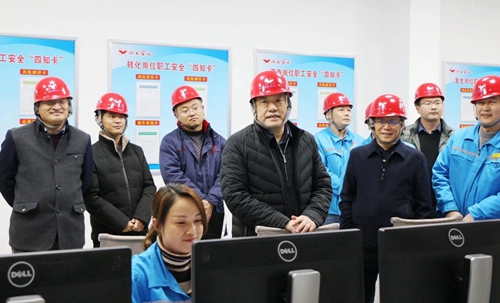 袁衛(wèi)東到股份、楚星和新項(xiàng)目現(xiàn)場調(diào)研(圖6)