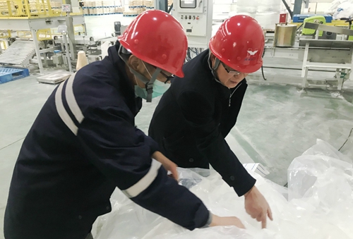 王大真到新材料公司、TPO項目現(xiàn)場和股份公司檢查工作(圖1)