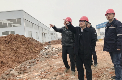 王大真到新材料公司、TPO項目現(xiàn)場和股份公司檢查工作(圖2)