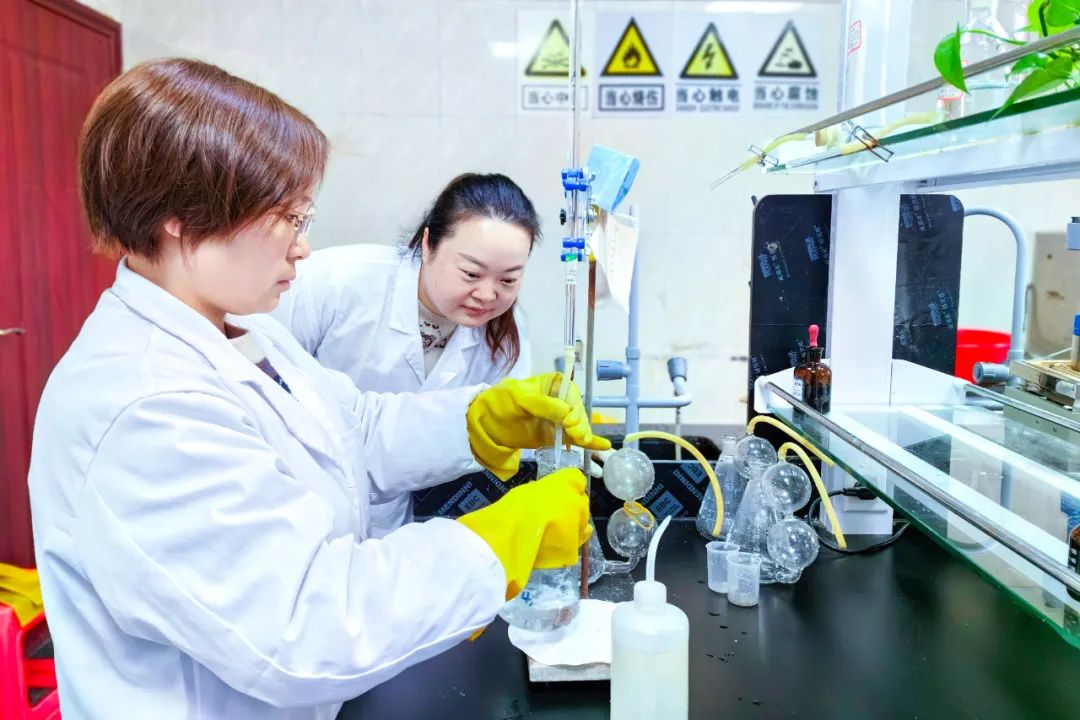 【宜化榜樣】股份公司黃冬燕：立足分析崗位，爭(zhēng)當(dāng)技術(shù)能手(圖5)