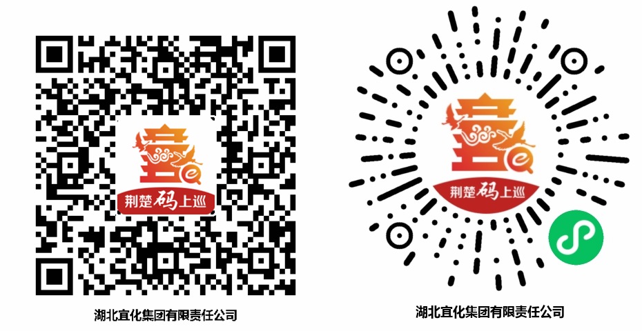 巡察公告(圖1)