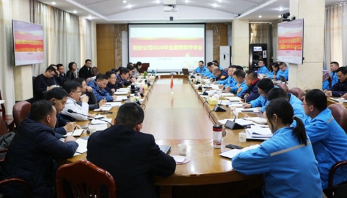 王大真調(diào)研指導(dǎo)股份公司、化機公司和TMP新項目2020年財務(wù)預(yù)算工作